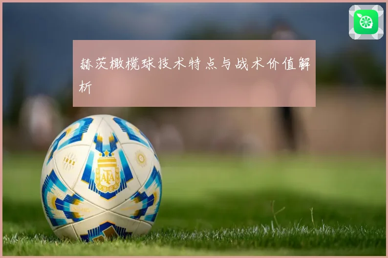 赫茨橄榄球技术特点与战术价值解析