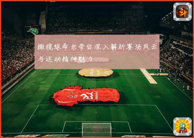 橄榄球希尔带你深入解析赛场风云与运动精神魅力