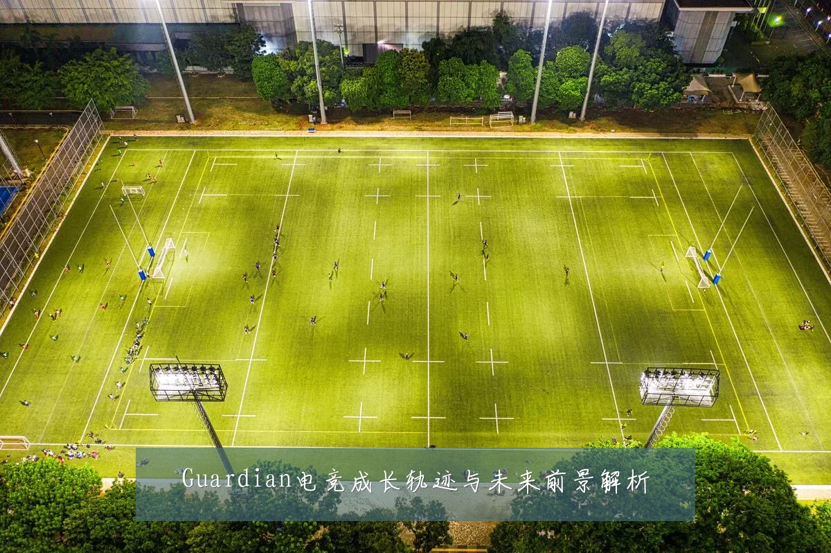 Guardian电竞成长轨迹与未来前景解析
